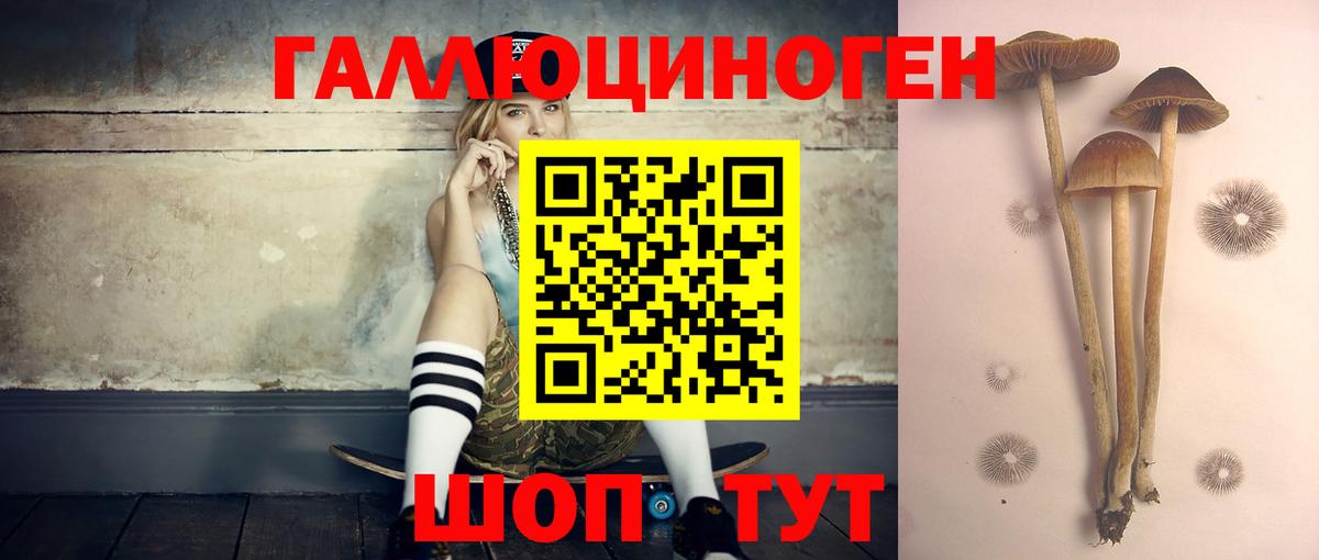 Алушта  Галлюциногенные грибы мицелий  Вход с VPN 